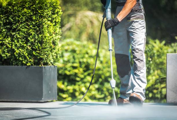 Best Roof Cleaning and Mildew Removal in Ramseur, NC