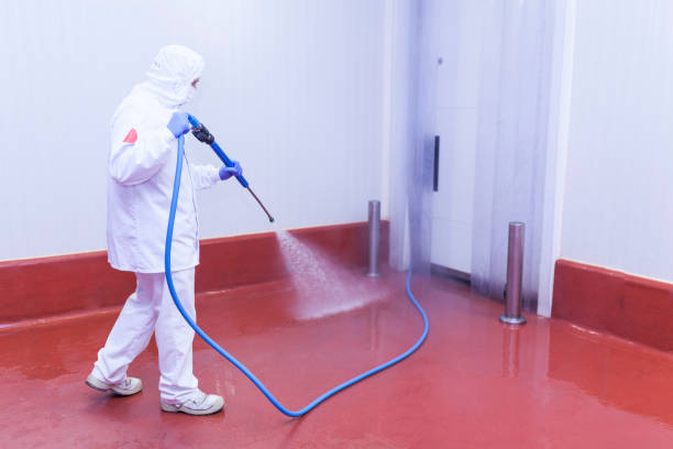 Best Building Exterior Pressure Washing in Ramseur, NC
