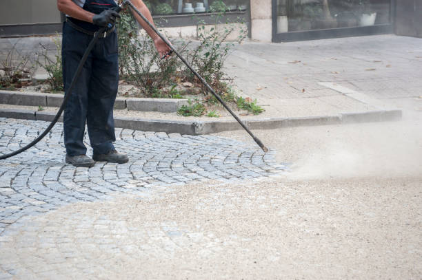 Best Fence Cleaning and Maintenance in Ramseur, NC